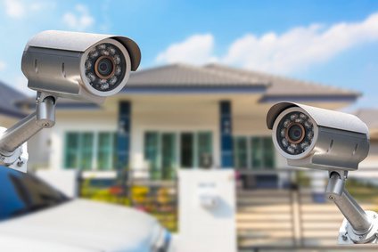 Snow Birds need a home watch services.