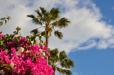 Spring Weather and Temperatures in The Villages Florida